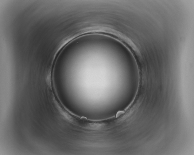 X0000111681513200907171623
