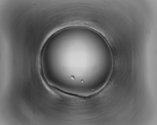 X0000111681515200907171623