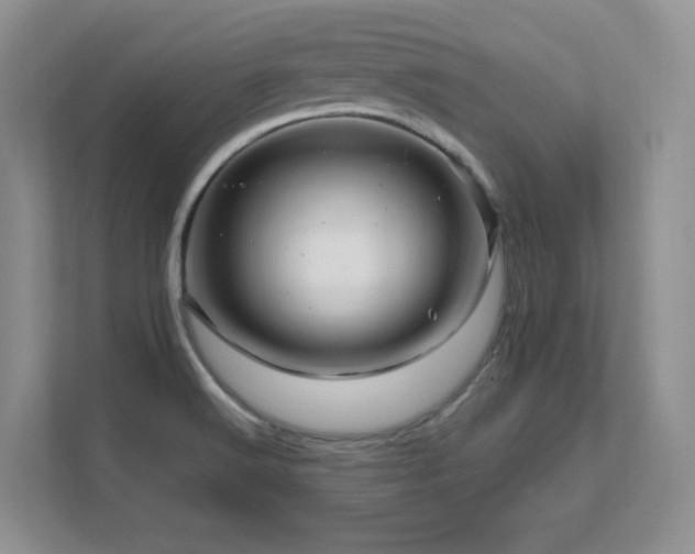 X0000111681516200907171623