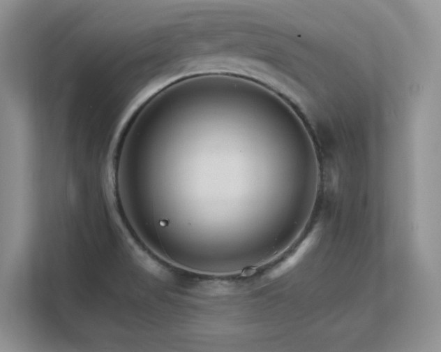 X0000111681517200907171623