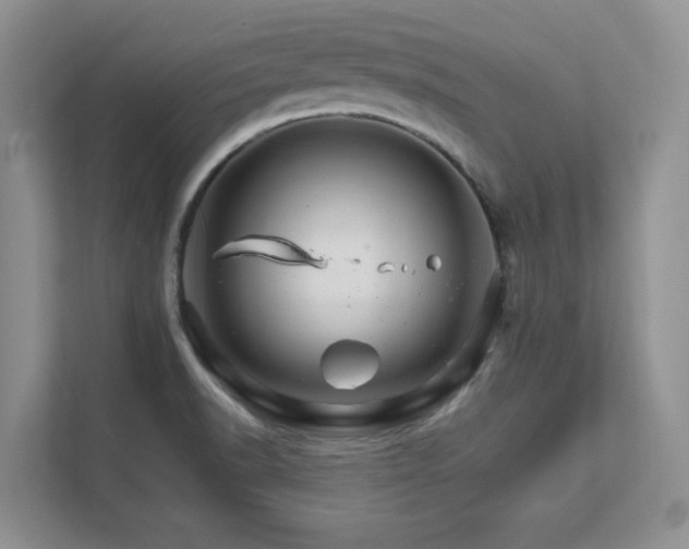 X0000111681518200907171623