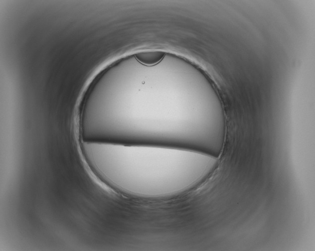X0000111681519200907171623