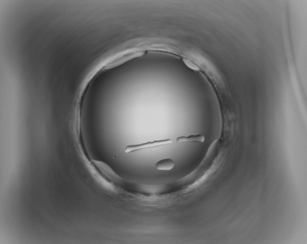 X0000111681520200907171623