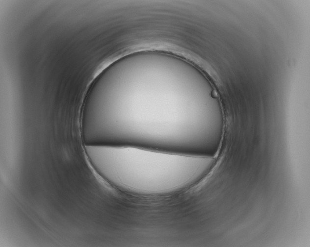 X0000111681521200907171623