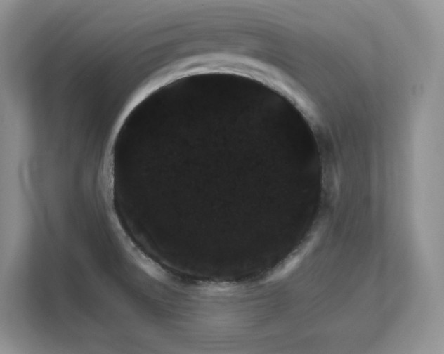 X0000111681522200907171623
