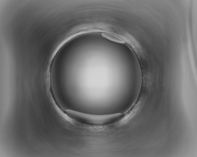 X0000111681524200907171623
