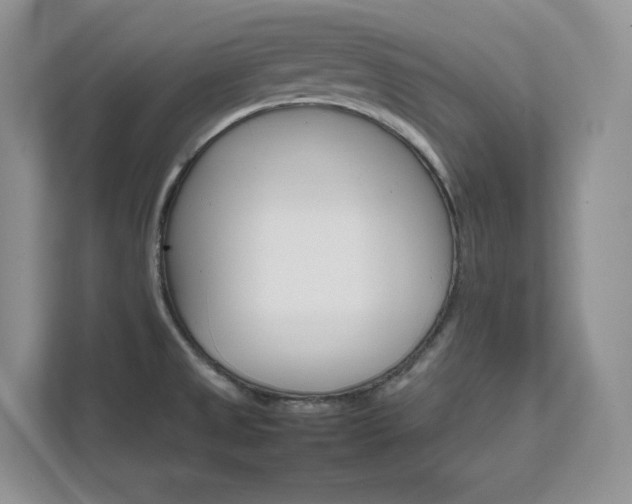 X0000111681525200907171623