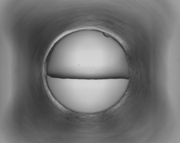 X0000111681526200907171623