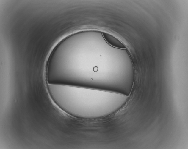 X0000111681527200907171623