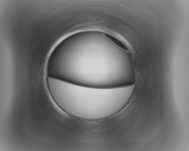 X0000111681528200907171623