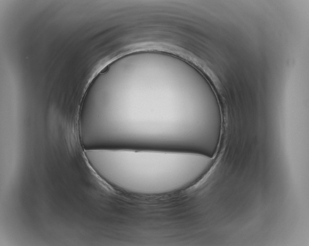 X0000111681529200907171623