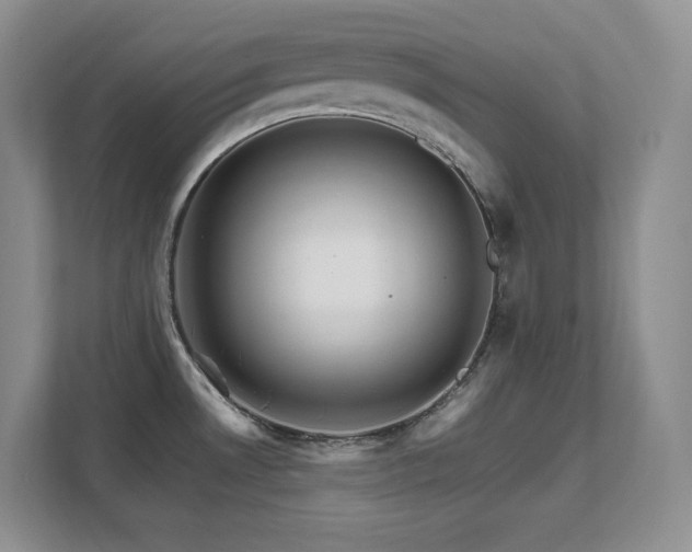 X0000111681530200907171623