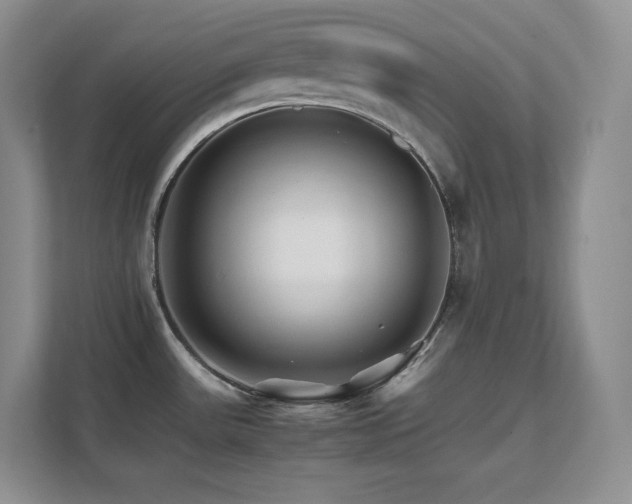 X0000111681531200907171623
