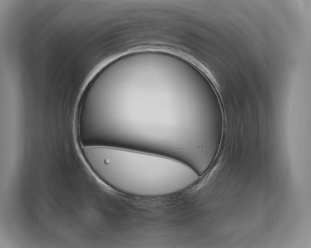 X0000111681533200907171623