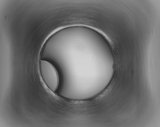 X0000111681534200907171623