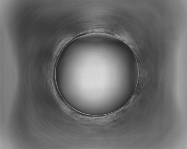 X0000111680001200907241242