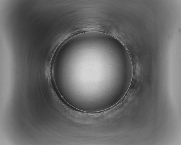 X0000111680002200907241242