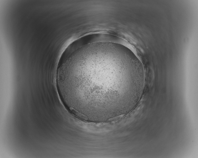 X0000111680003200907241242