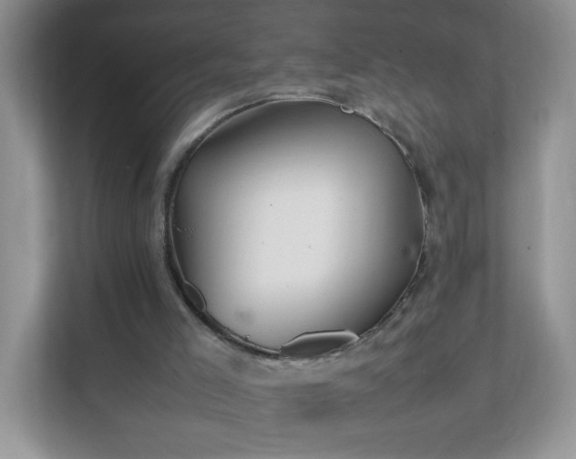 X0000111680005200907241242