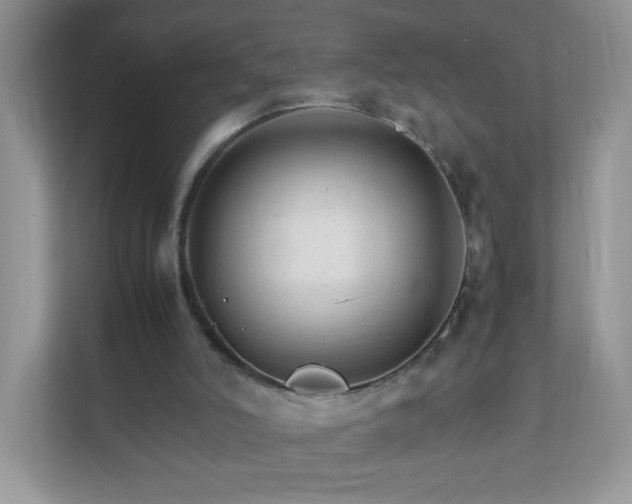 X0000111680006200907241242