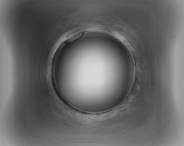 X0000111680007200907241242