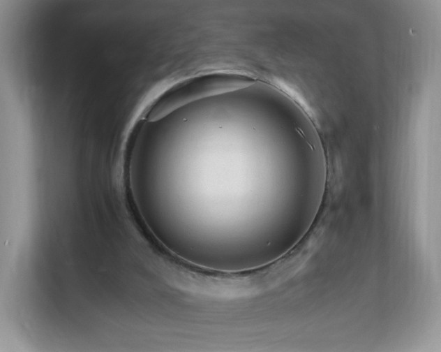 X0000111680008200907241242