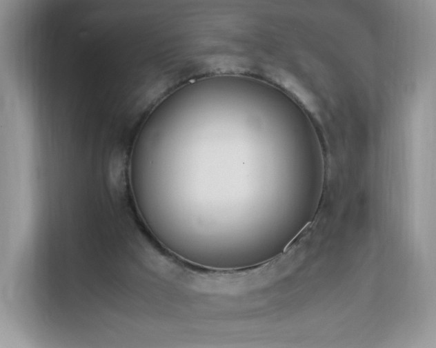 X0000111680009200907241242