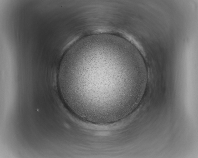 X0000111680010200907241242