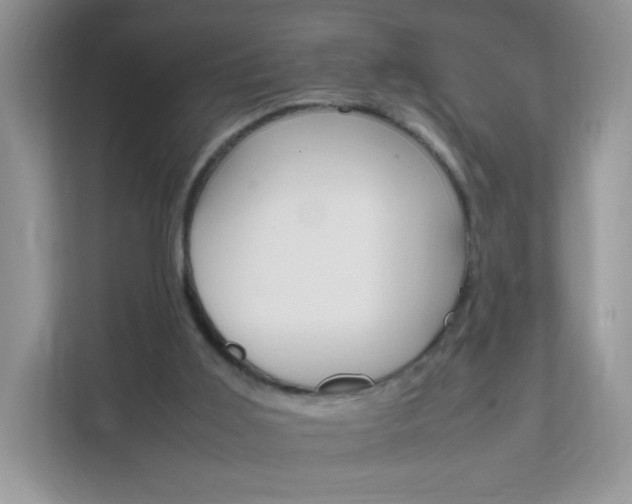 X0000111680011200907241242