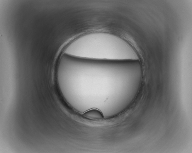 X0000111680012200907241242