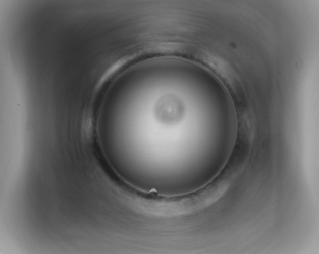 X0000111680016200907241242