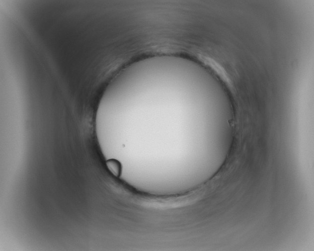 X0000111680017200907241242