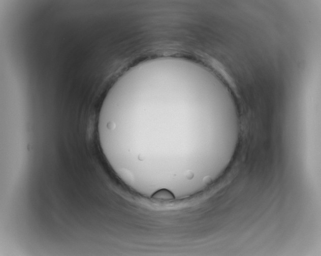 X0000111680018200907241242