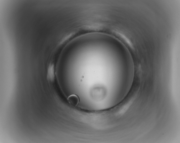 X0000111680020200907241242