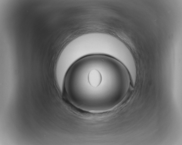 X0000111680021200907241242