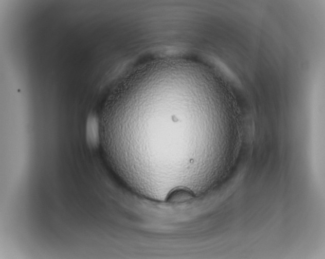 X0000111680022200907241242