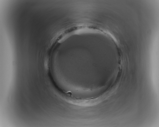 X0000111680023200907241242