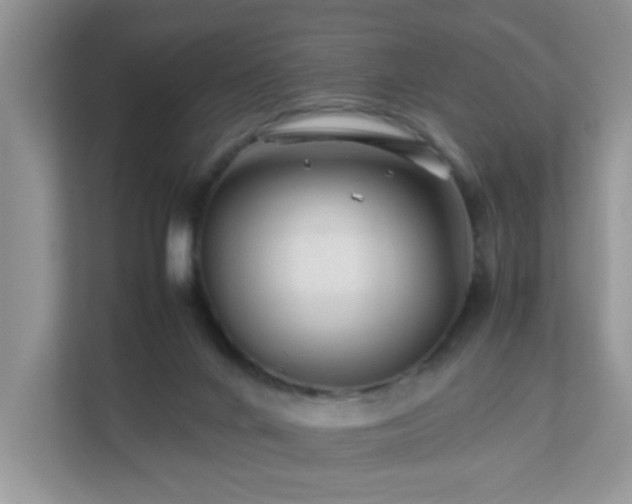 X0000111680024200907241242