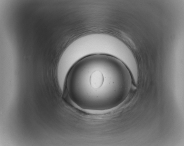 X0000111680025200907241242