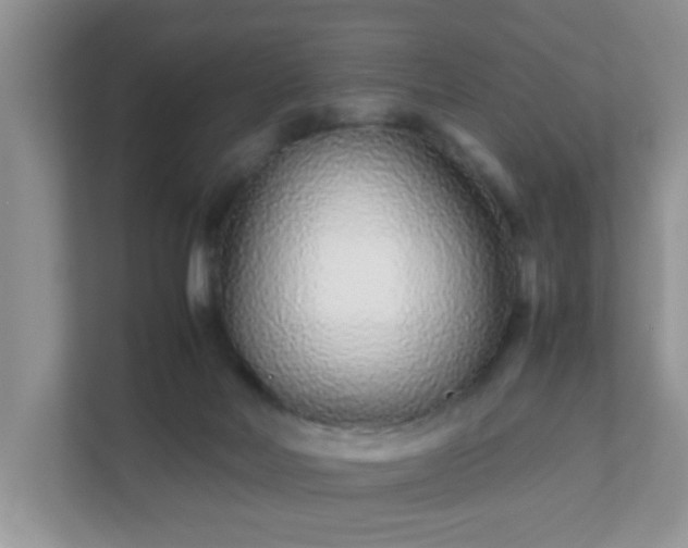 X0000111680026200907241242