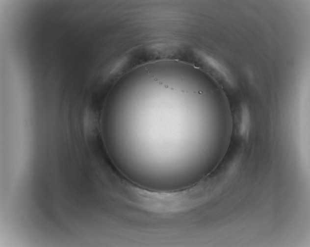 X0000111680034200907241242