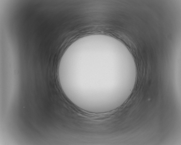 X0000111680035200907241242