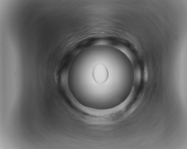 X0000111680036200907241242