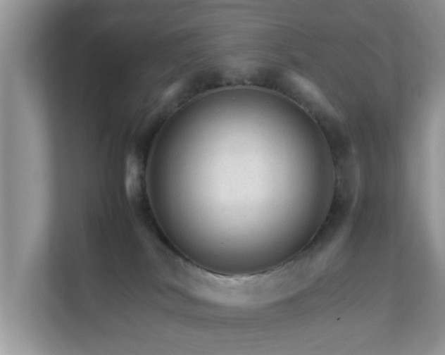 X0000111680038200907241242