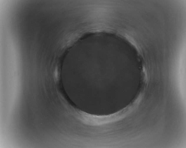 X0000111680039200907241242