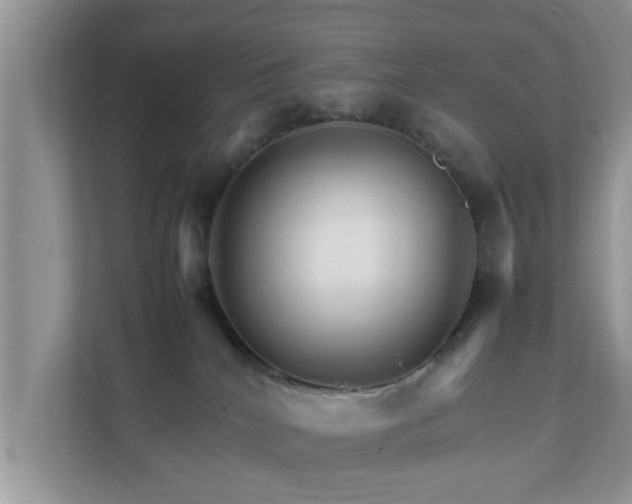 X0000111680040200907241242