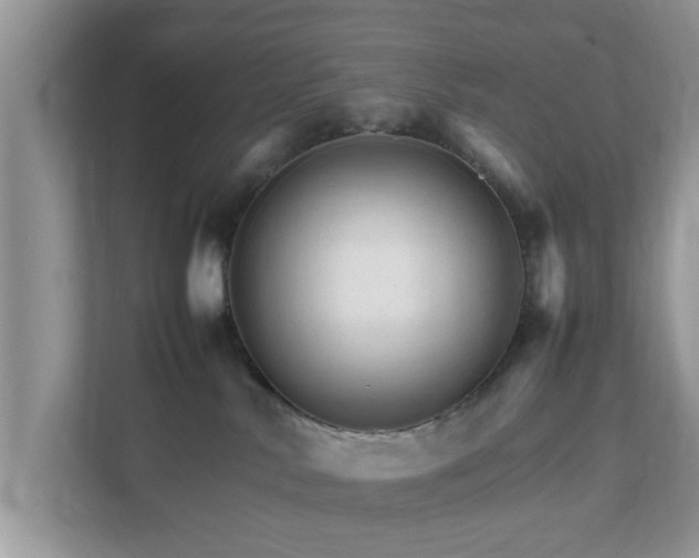 X0000111680042200907241242