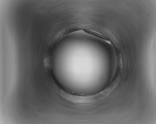 X0000111680044200907241242