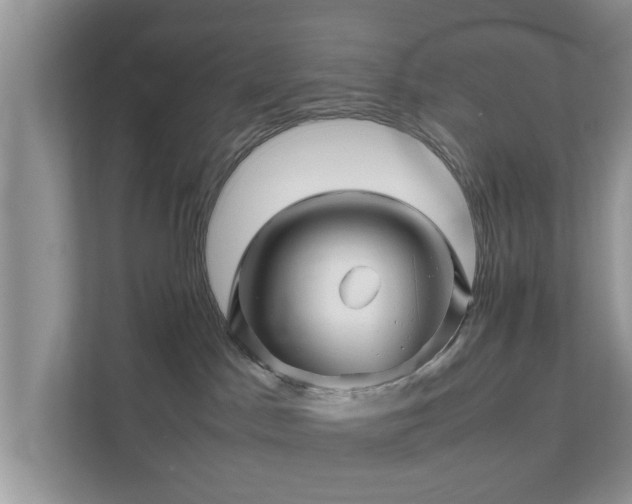 X0000111680045200907241242