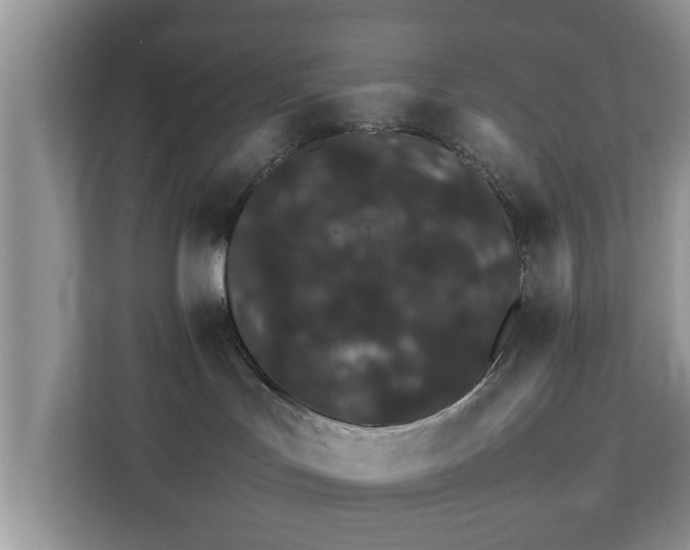 X0000111680047200907241242